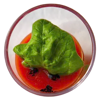Simone Rossetto Personal Chef Ancona